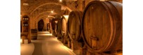 Ancient Flavors of Campania - The cellar
